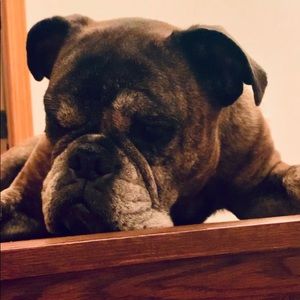 Meet your Posher, Kim